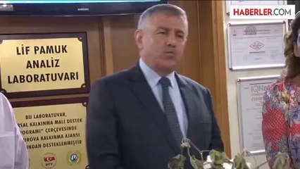 Sezonun ilk pamuğu satıldı -