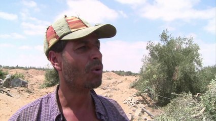 Gazans return to destroyed homes as ceasefire holds