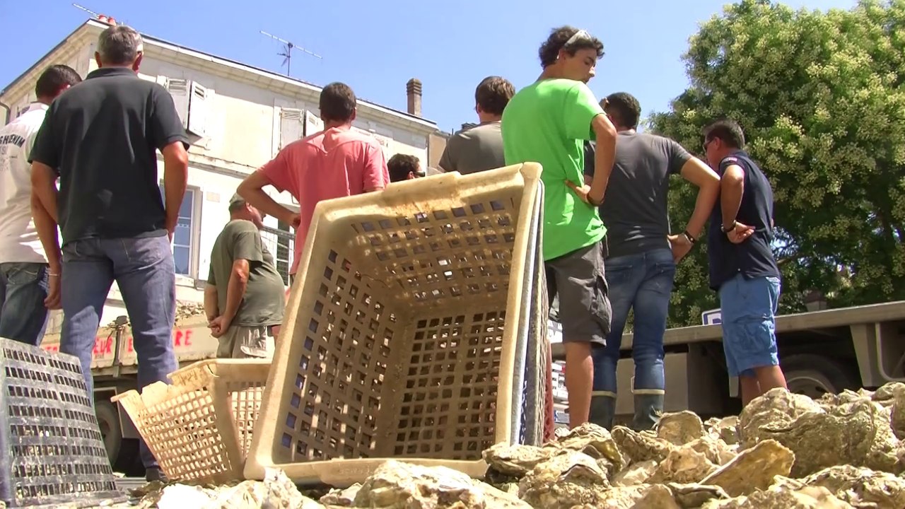 CelaTV Le JT - Les conchyliculteurs continuent leur protestation