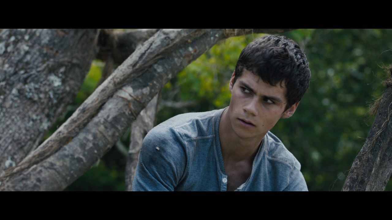 The 'The Maze Runner' New Trailer Is Released