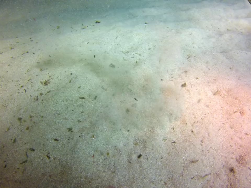 GOPR0326