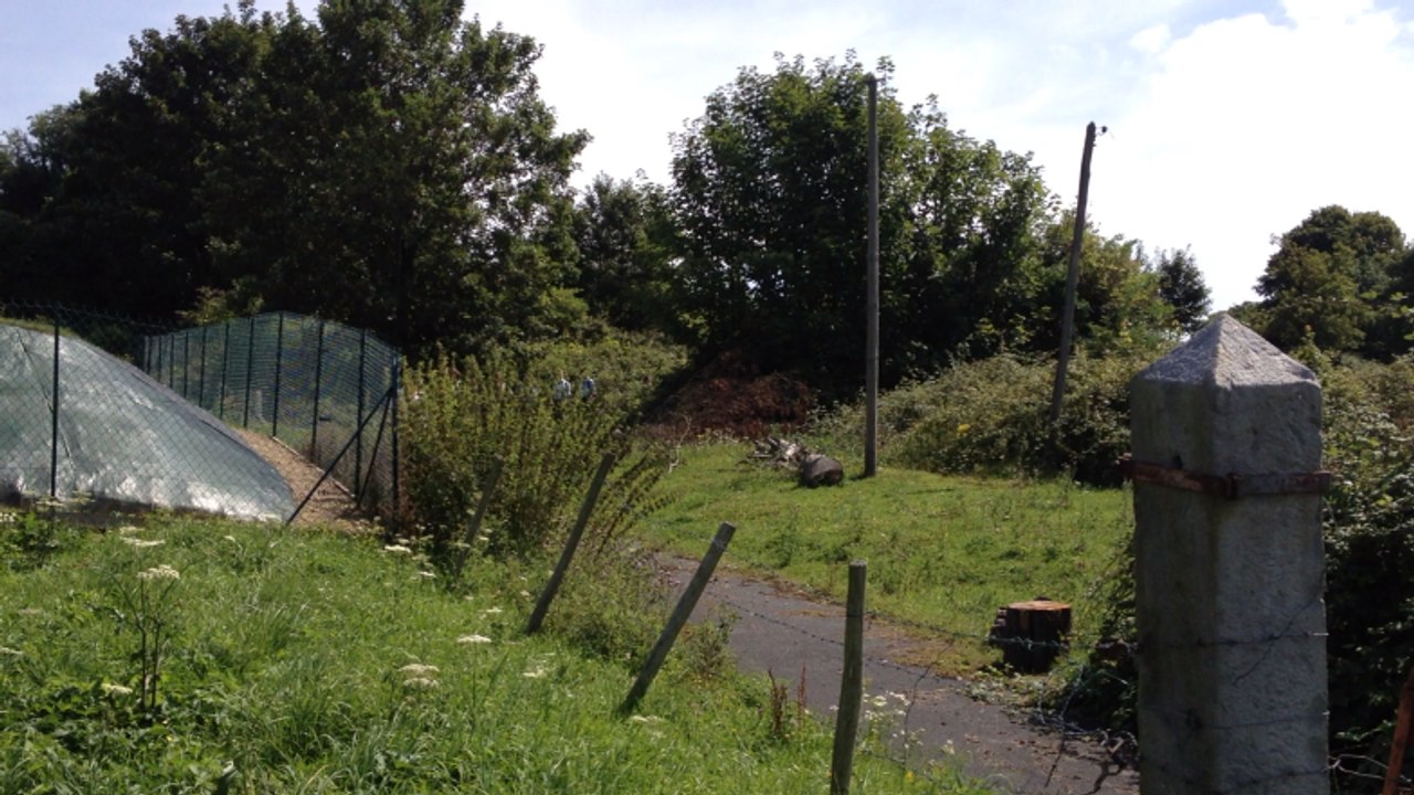 Pèlerinage des scouts européens