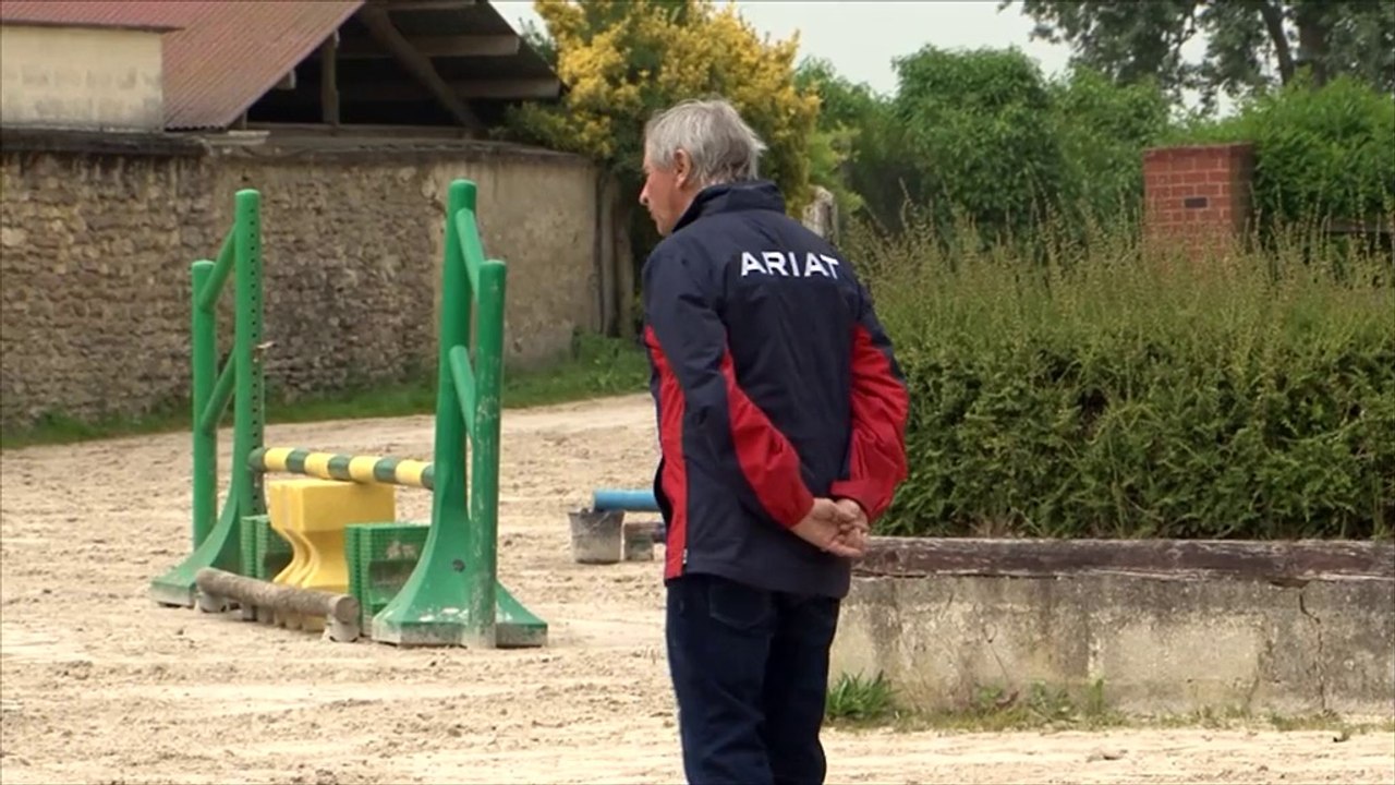 Cheval Pratique - Travail à l'obstacle - Variations d'amplitude 295