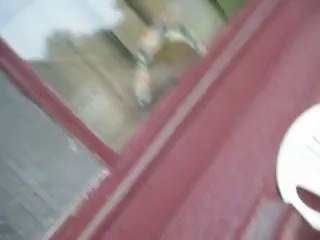 ammonia ammonia ammonia