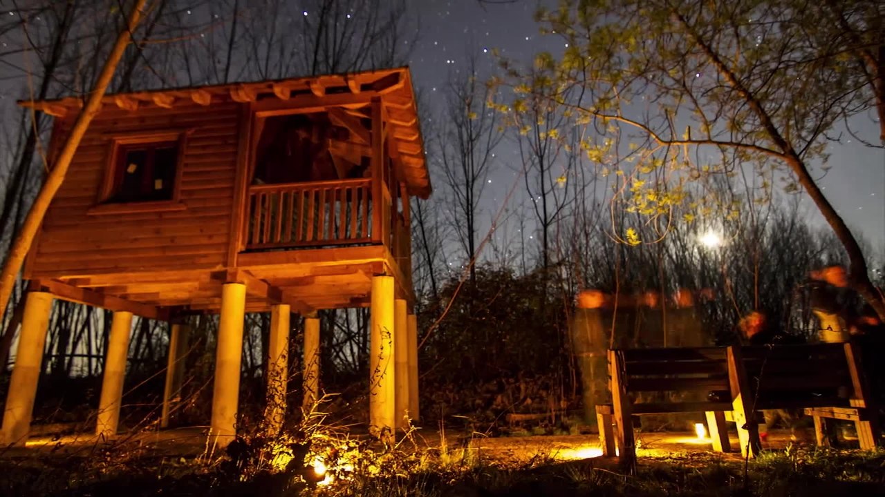 This night sky timelapse will leave you in awe