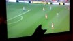 Kitten Tries To Catch Soccer Players on TV
