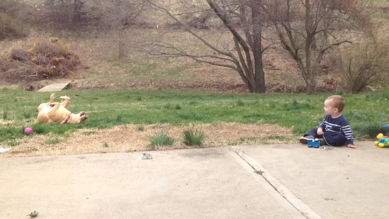 Baby Laughs Hysterically at Dog Rolling Over