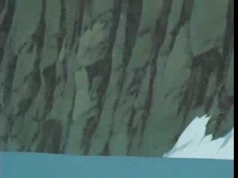 Sasuke VS Naruto ( court )