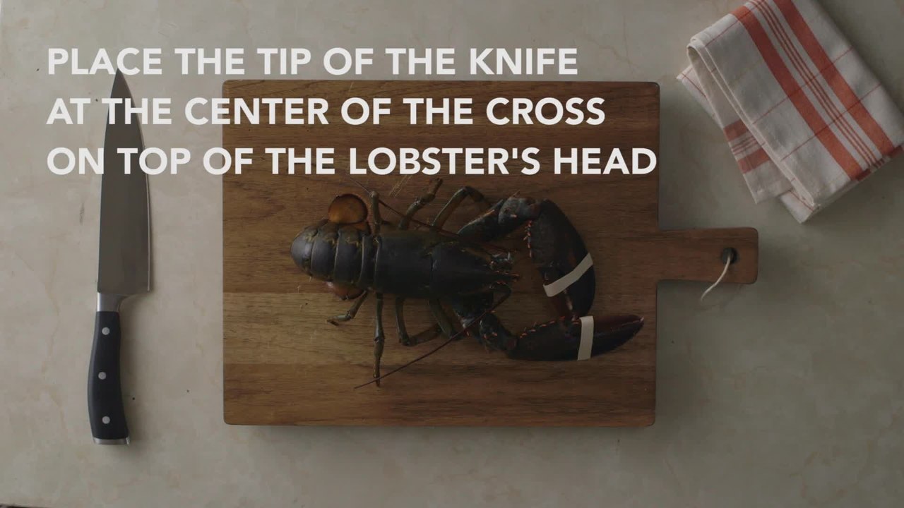 How to Humanely Kill a Lobster