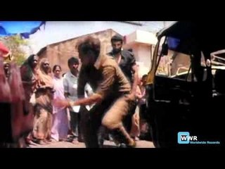 Gardish Action Shots