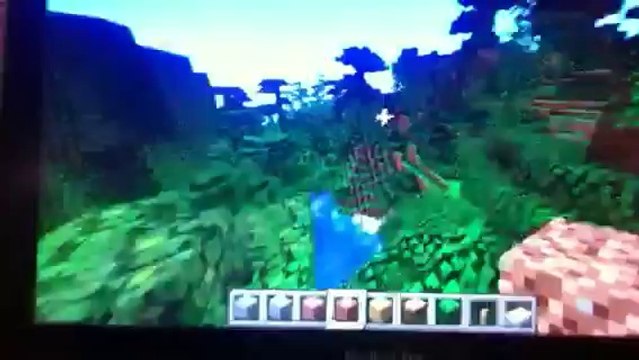 Herobrinethekiller Cool Seed Ever On 1 2 5 Minecraft Video Dailymotion