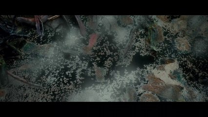 VIDÉO - "The Hobbit, la désolation de Smaug" : une scène coupée dévoilée