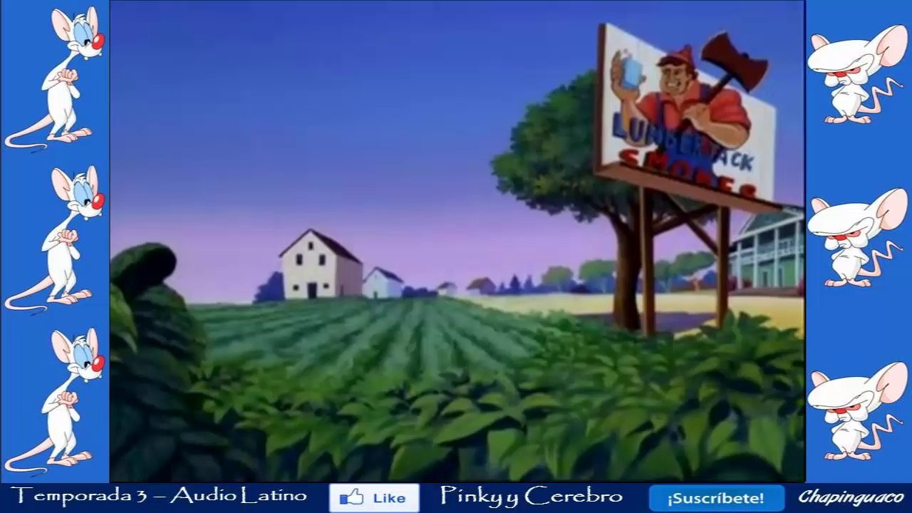 Pinky y Cerebro Capitulo 51