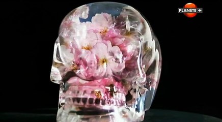 Les 13 crânes de cristal