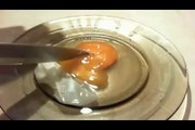 Glowing Bouncy Egg - vinegar and egg - Rubber Egg Science Experiment