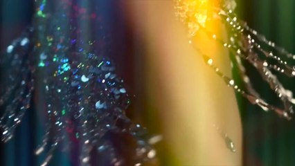 Viva La Drag - Drag Queens of London - Every Tuesday 10pm, London Live