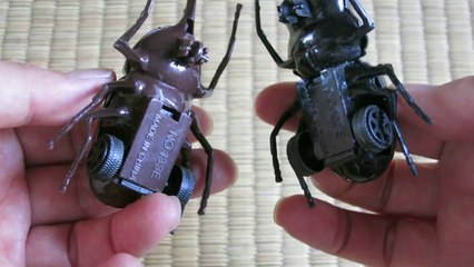 カブトムシとクワガタムシのおもちゃ