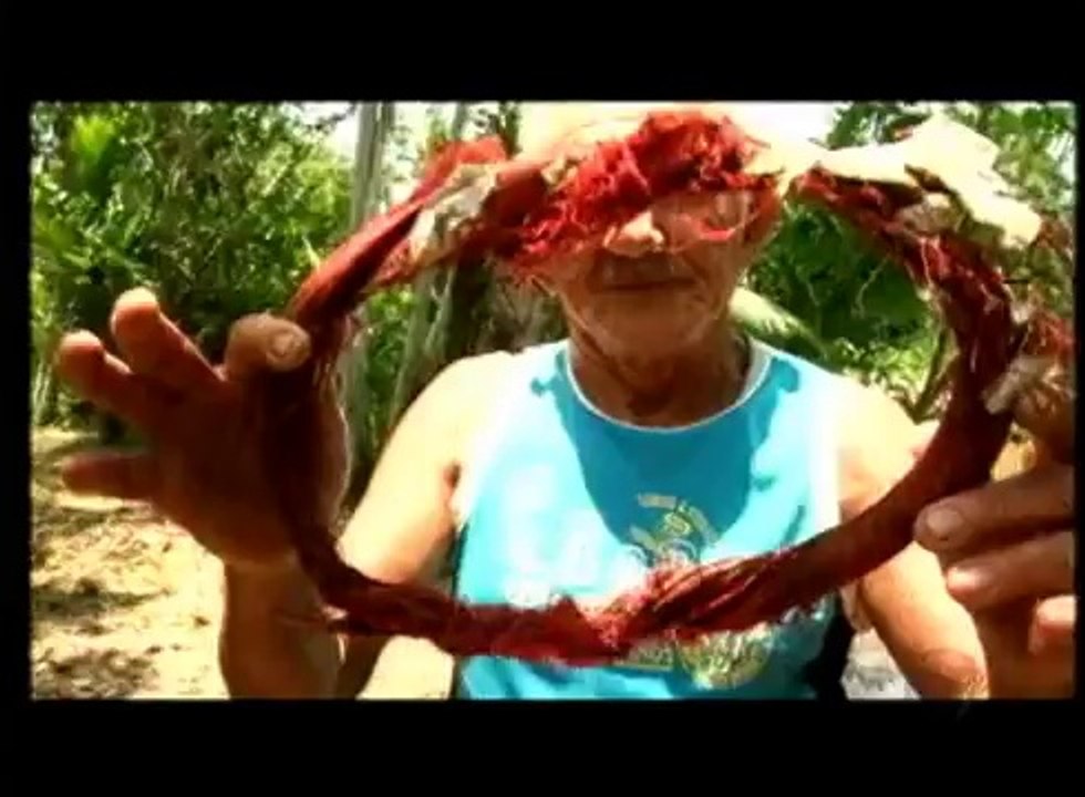 Eco Record News   chamada