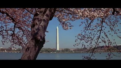 Billy Jack Goes To Washington - Trailer