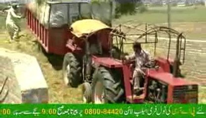 Silage Making