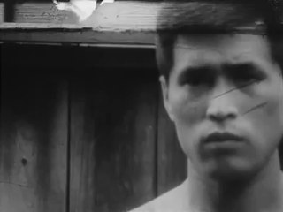 Donald Richie - Dead Youth (1967)