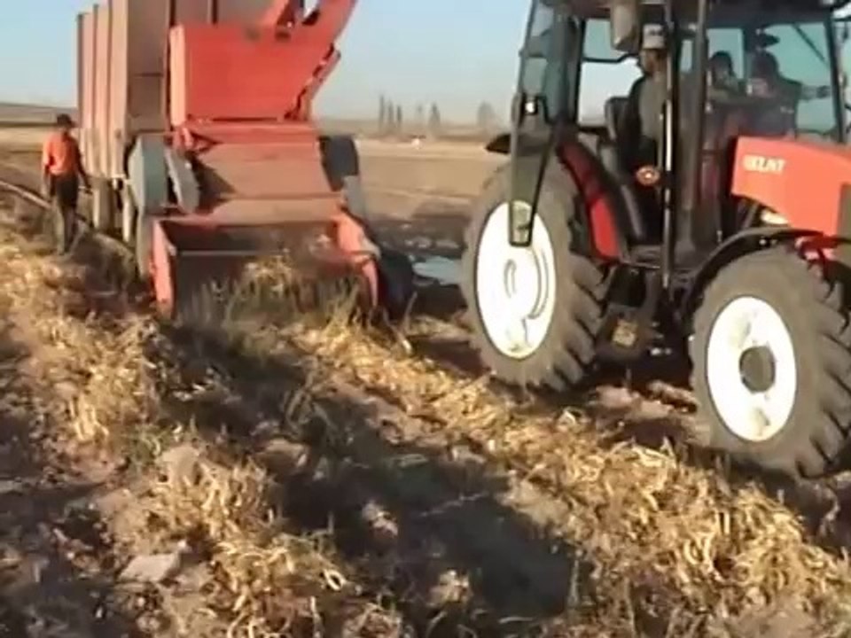 FASÜLYE HASAT MAKİNASI TOPLAR DÖVER