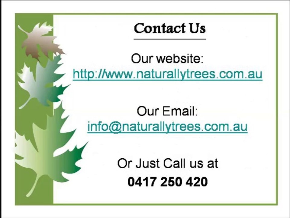 Need Tree Surgeons in Sydney