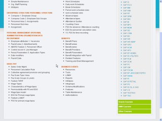 SAP HR (Human Reasource) Online Training and Placement