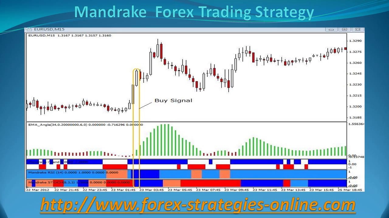 Mandrake Forex Trading Strategy