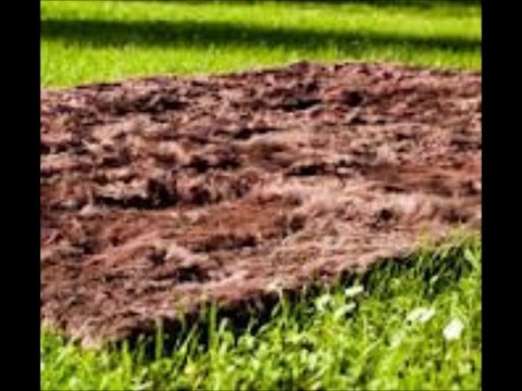 Luxurious Alpaca Fur Area Rugs From Alpaca Plush