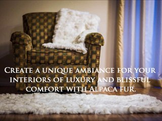 Plush Luxury Sofa Throws From Alpaca Plush