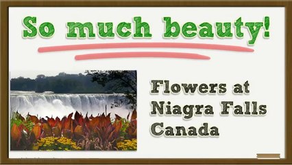 Photos of Niagara Falls, Canada, Exciting Niagara Pictures
