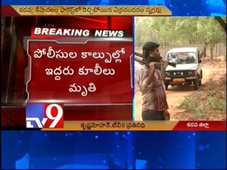 2 red sander smugglers shot dead in Seshachalam forest