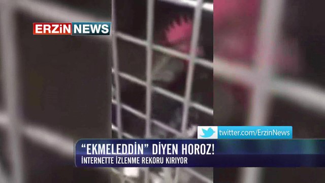 'Ekmeleddin' diyen horoz!