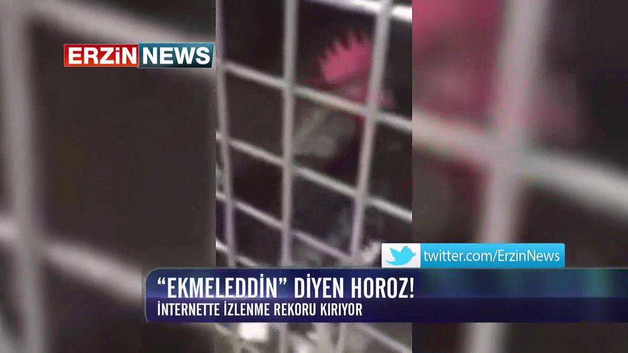 'Ekmeleddin' diyen horoz!