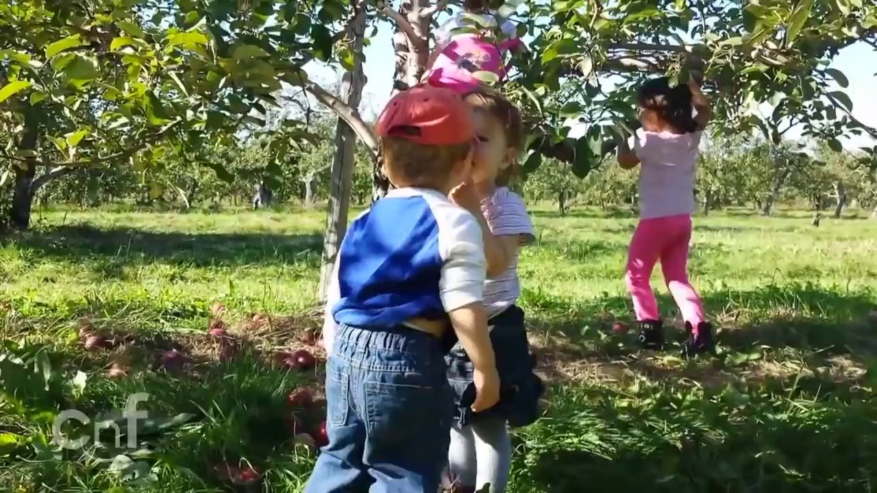 Babies' First Kiss!