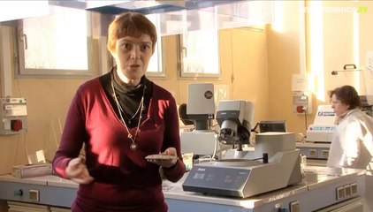 Béton sous haute surveillance