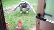 Des chiens accueillent leurs maîtres, soldats de retour à la maison! Compilation émouvante.