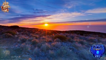 ♛♫♥Sunlight Project feat. Danny Claire - Somewhere (Etasonic Remix) [D.MAX Recordings]♥♫♛