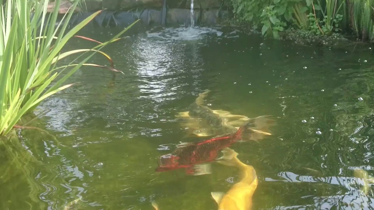 MOV_0076