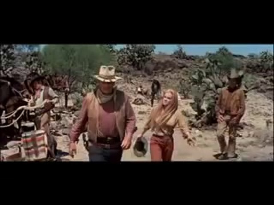 The Train Robbers trailer (1973)