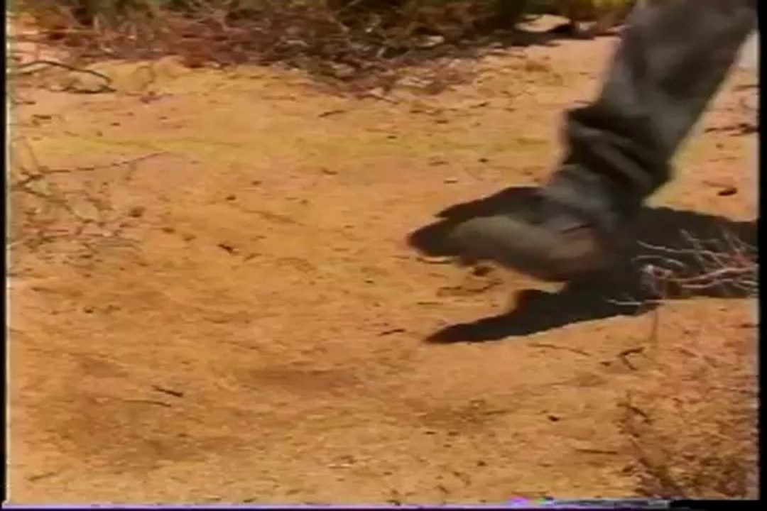 Black Dawn (1997) trailer