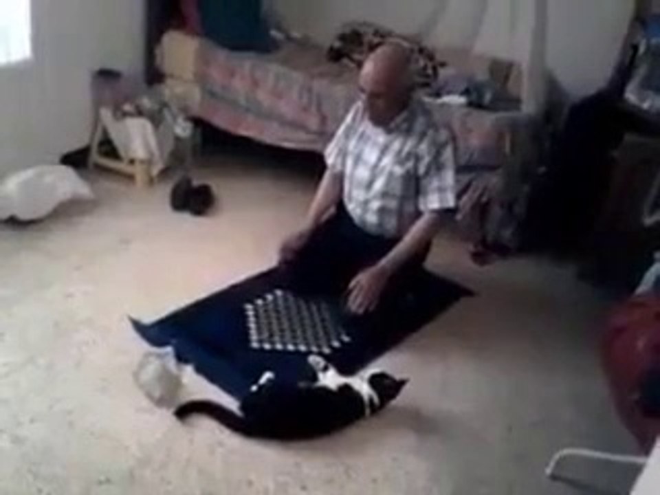 namaz bozdurmaya kararli kedi