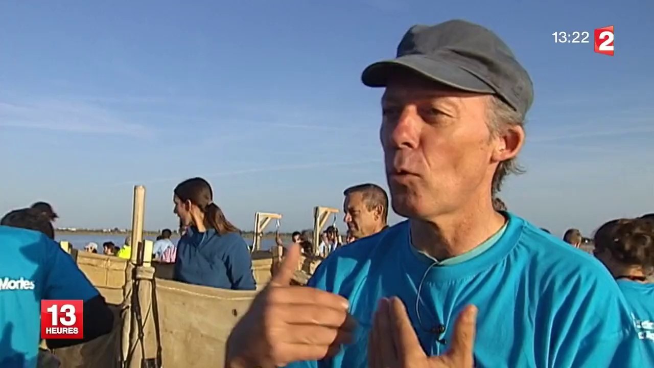Un millier de petits flamants roses se font passer la bague aux pattes