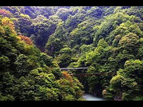 YILDIZ DEMİRKOL SAVAŞ-yıldızlıtürküler-BUGÜN BEN ŞAHIMI GÖRDÜM