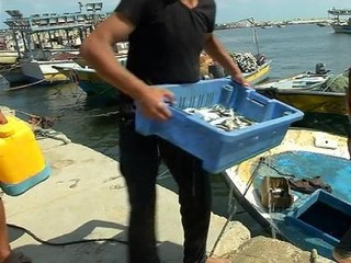 REPORTAGE- Les pêcheurs de Gaza retournent en mer