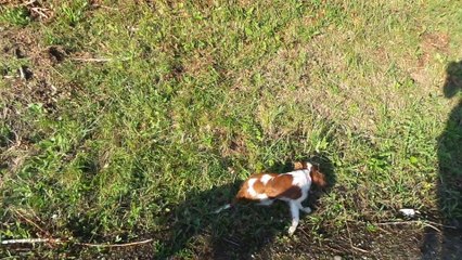 glissades de Juliane