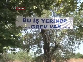 Danıştay Şişecam kararını açıkladı