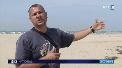 L'île sans nom, un petit paradis dans l'estuaire de la Gironde