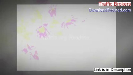 Traffic Brokers Review [traffic brokers]